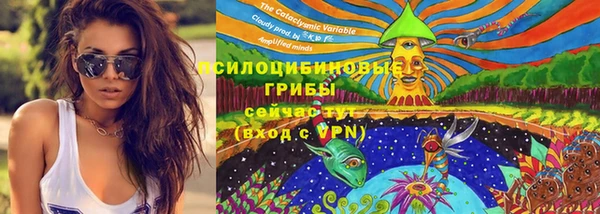 PSILOCYBIN Бронницы